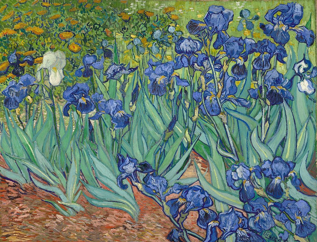 Irises by Vincent van Gogh